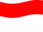 Indonezyjskie